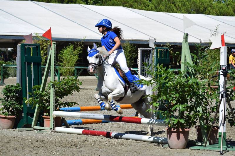 11225336_909366989105490_2508380470891713947_o