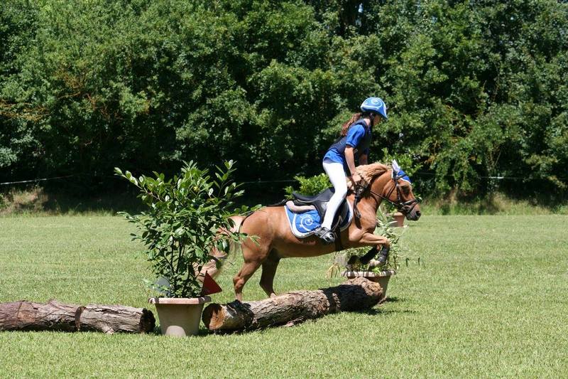 11696400_909367309105458_4678970528792687900_o