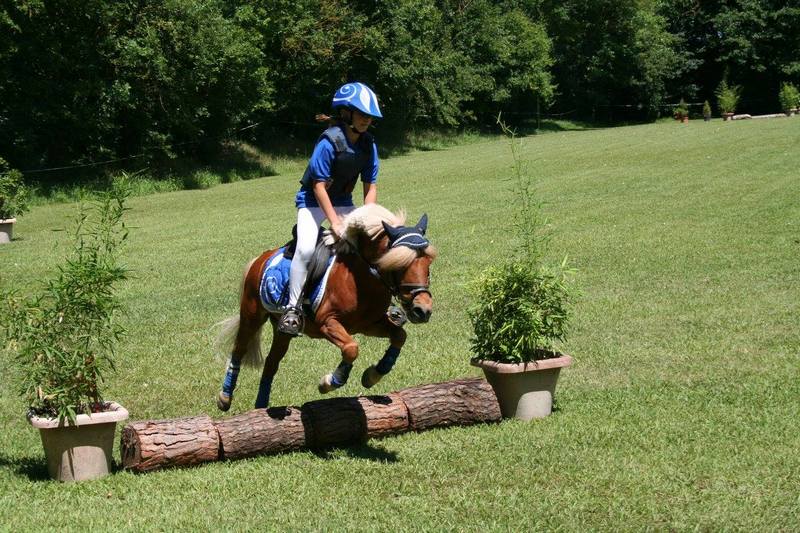 11698852_909367379105451_5239558684761529485_o