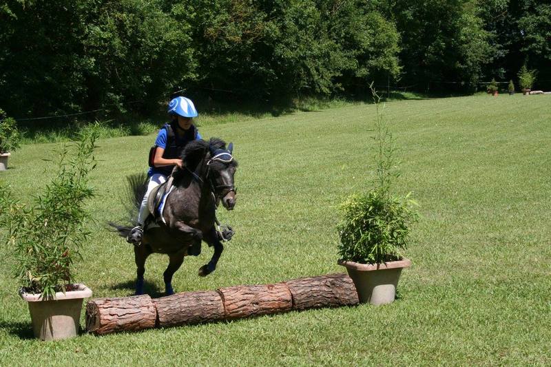 11705694_909367355772120_3756422793154718298_o