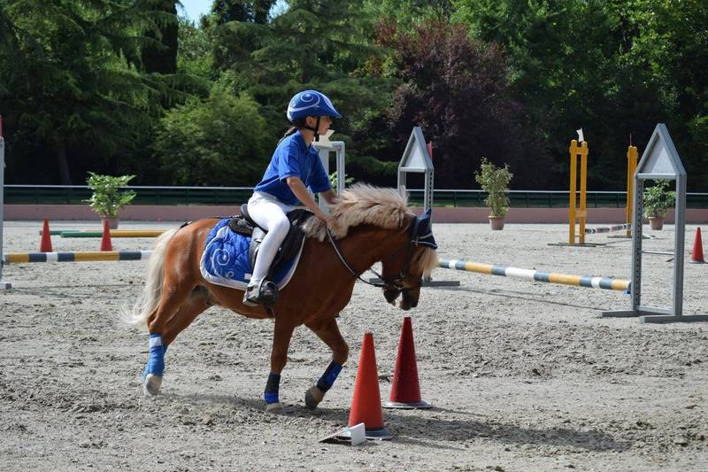 11709924_909366879105501_4169234320593938076_o