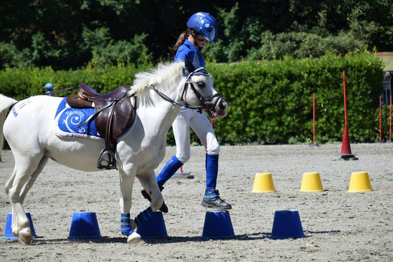 10631236_909367159105473_1891455031946095021_o