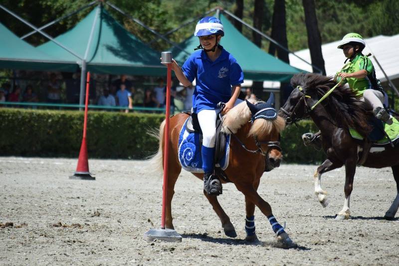 11059450_909367129105476_12109001651724420_o