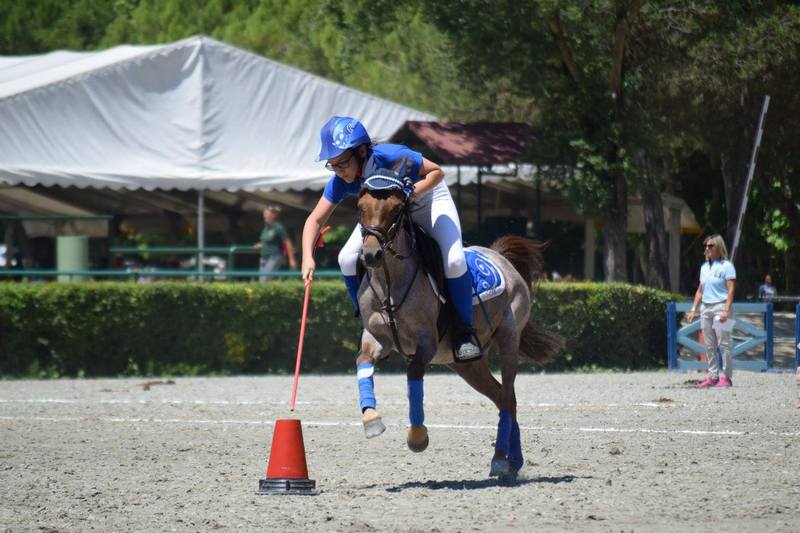 11258831_909367099105479_7313394018143094635_o