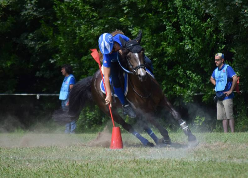 11411783_914594921916030_8141558011205983371_o