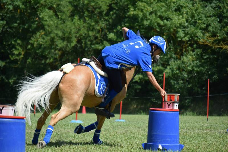 11411838_914595145249341_5955627218401339383_o