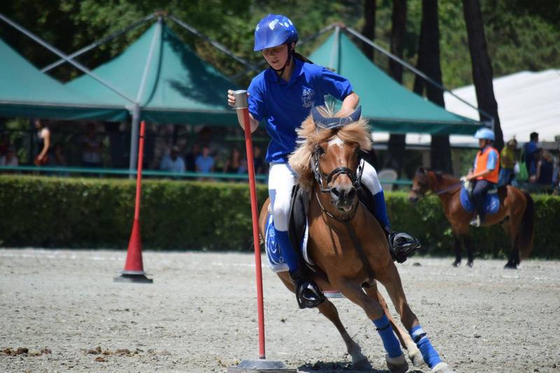 11537582_909367115772144_4142542899950258094_o