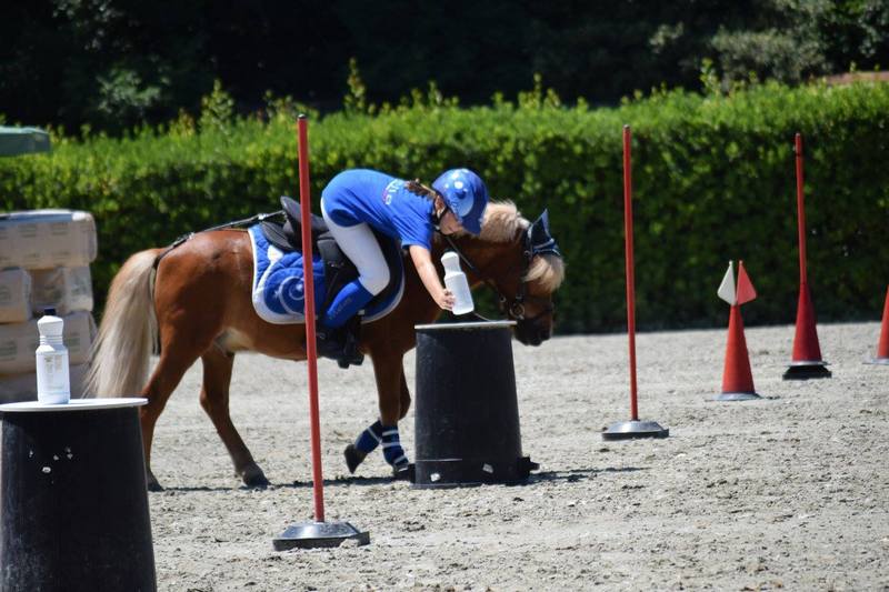 11537615_909367142438808_1896488961183156062_o