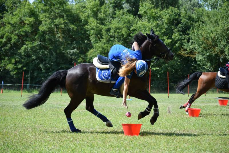 11700627_914595078582681_8205900949349619269_o