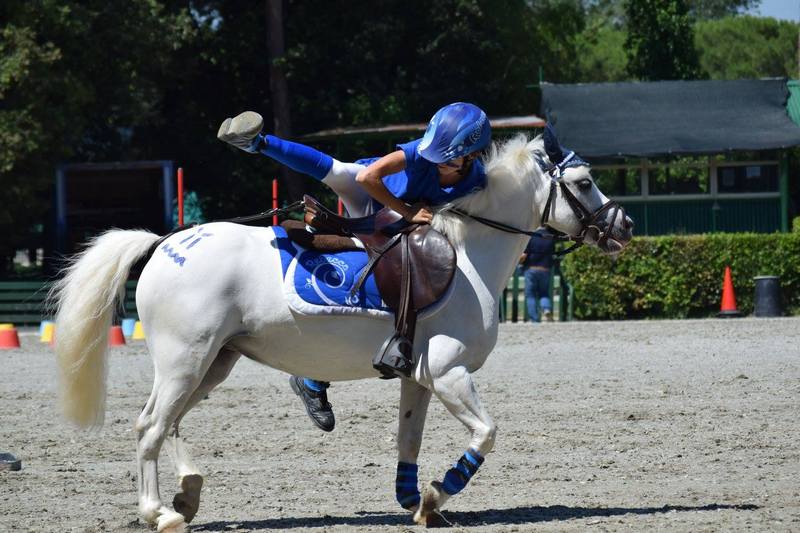 11717458_909367179105471_9139478008379044403_o