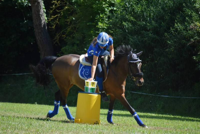 11754868_914594878582701_5112216395754872235_o