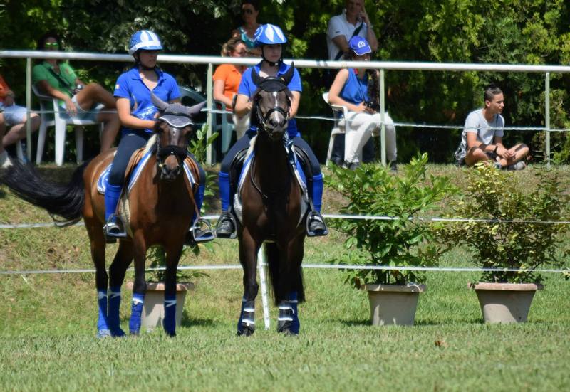 1606244_914595091916013_2925498149267928010_o