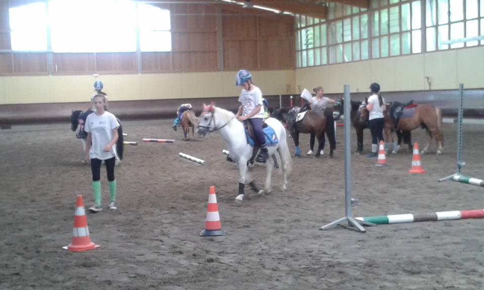 13407170_241370316246294_5699293295437527504_n