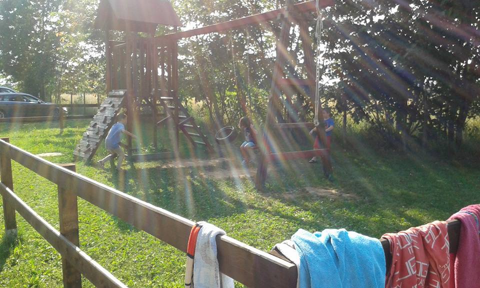 13592284_248389255544400_7700376423933357849_n