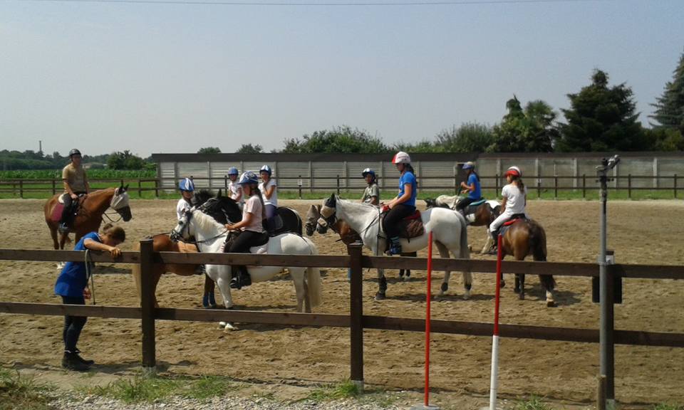 13615075_251607375222588_7958894360339829084_n