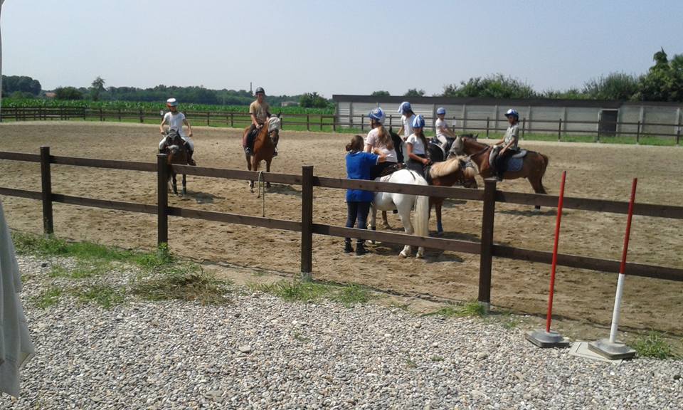 13620047_251607271889265_1583178652059995039_n